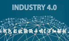 Metamask钱包能放狗狗币吗？详细解析与