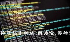 全面解析小狐钱包手机版：因为它，你