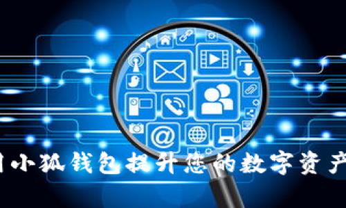 : 如何使用小狐钱包提升您的数字资产管理效率？