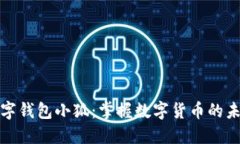 数字钱包小狐：掌握数字货币的未来