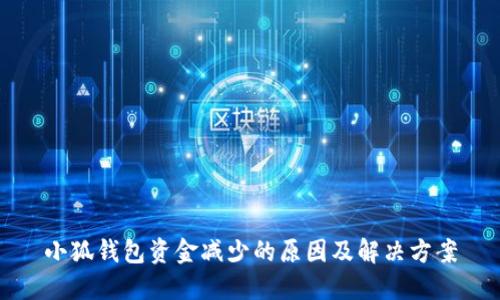 小狐钱包资金减少的原因及解决方案