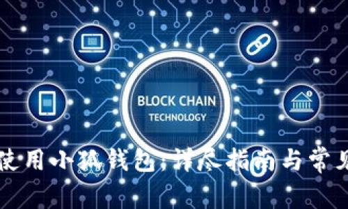 国内如何使用小狐钱包：详尽指南与常见问题解答