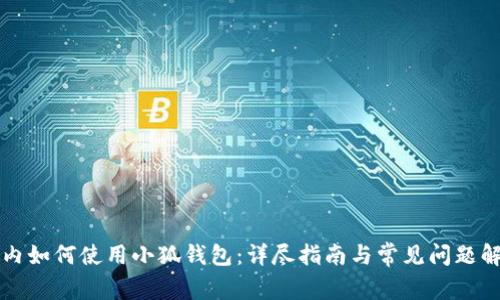 国内如何使用小狐钱包：详尽指南与常见问题解答