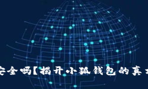 : 小狐钱包安全吗？揭开小狐钱包的真相与风险分析